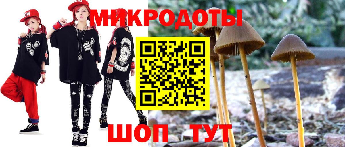 Элиста  Галлюциногенные грибы MAGIC MUSHROOMS  купить  сайты  Псилоцибиновые грибы Psilocybe  Вход с VPN 